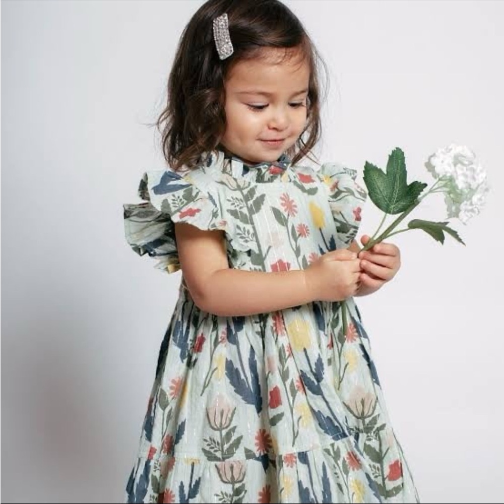 Girls Pink Chicken Paper Floral Jennifer Dress Size 18-24months